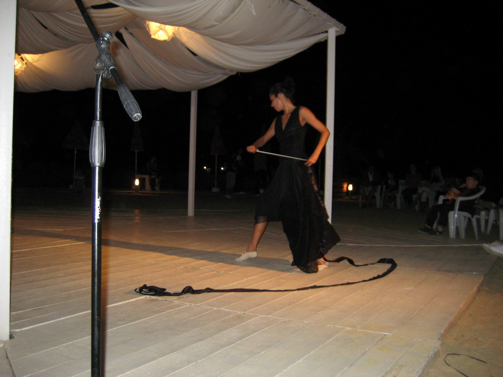 show 2011_08